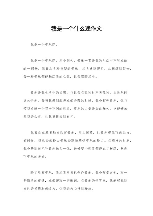 我是一个什么迷作文