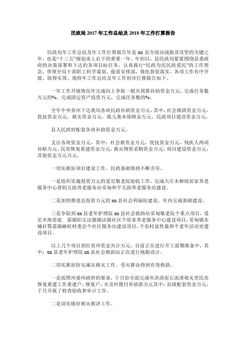 民政局2019年工作总结及2019年工作打算报告
