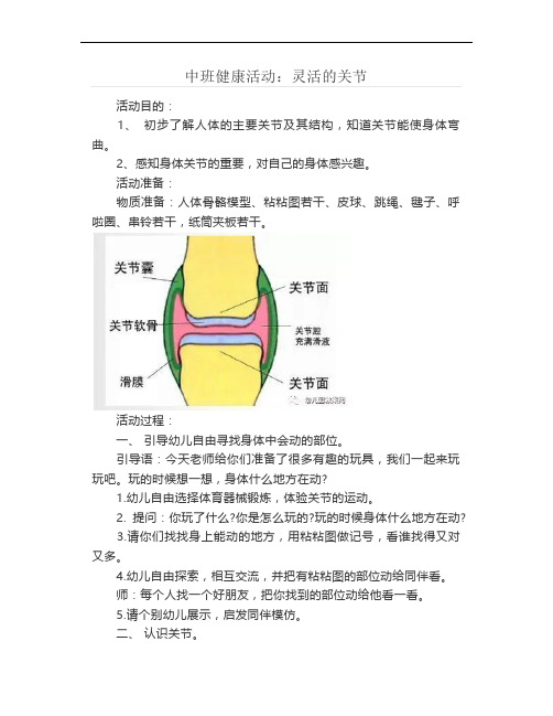 中班健康活动：灵活的关节