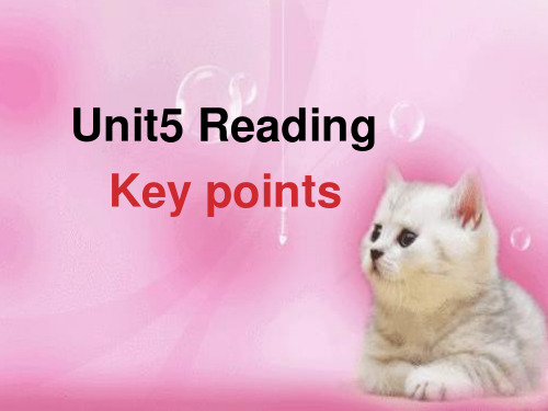 必修五Unit5reading知识点