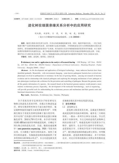 进化树在细菌亲缘关系分析中的应用研究