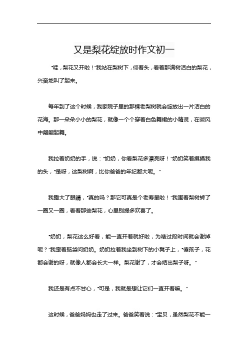 又是梨花绽放时作文初一