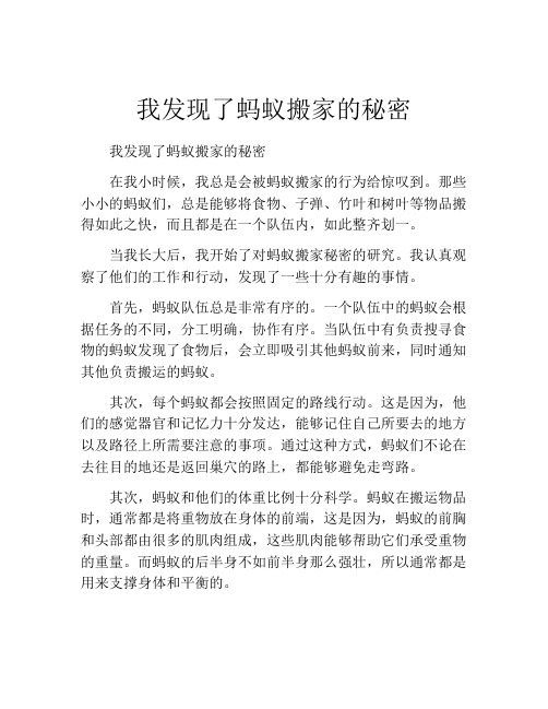 我发现了蚂蚁搬家的秘密