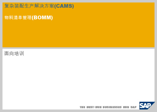 SAP复杂装配下的BOM管理(SAP CAMS-BOMM)