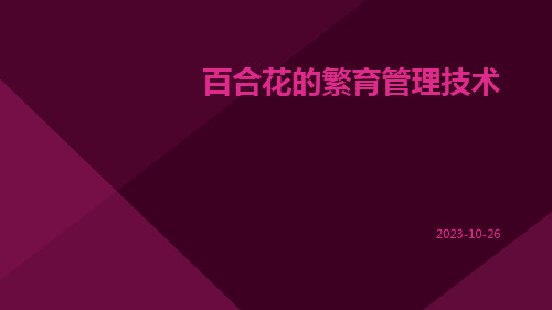 百合花的繁育管理技术