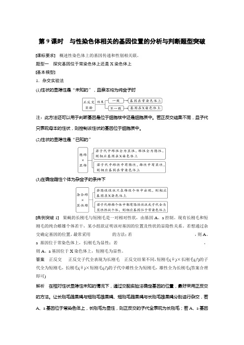 2024届高考一轮复习生物教案(新教材人教版苏冀)：与性染色体相关的基因位置的分析与判断题型突破