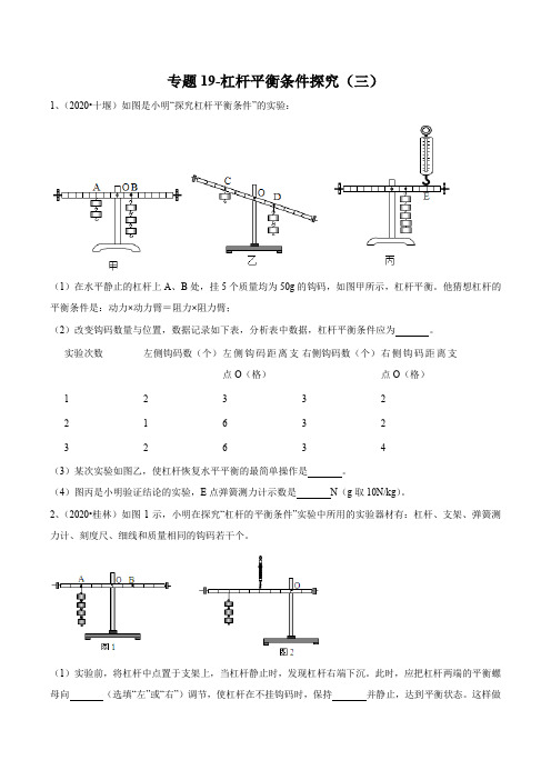 2021-中考物理(苏科版)实验(探究型)专题19-杠杆平衡条件探究(三)