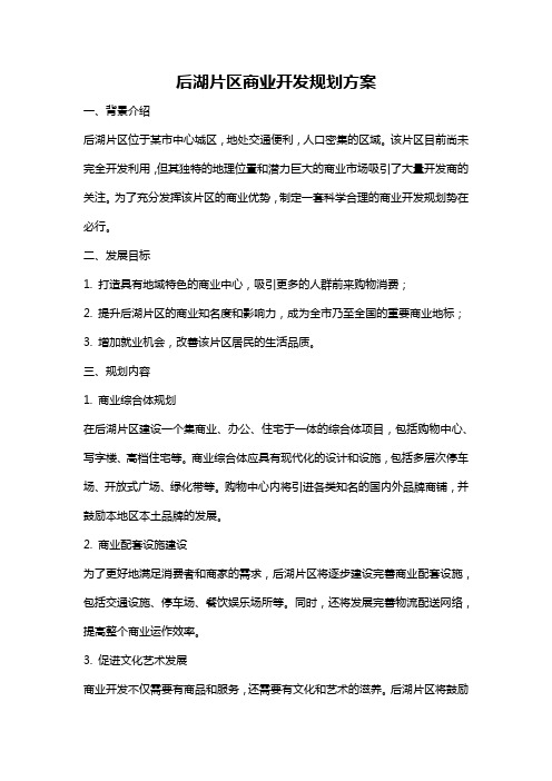 后湖片区商业开发规划方案