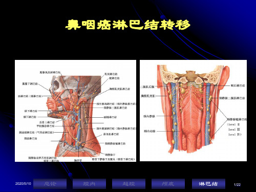 鼻咽癌的淋巴结转移解剖分区1