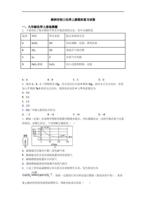 株洲市初三化学初三化学上册期末复习试卷