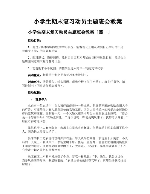 小学生期末复习动员主题班会教案