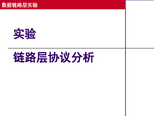 Lecture 07 链路层实验