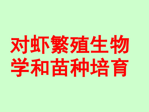 对虾繁殖生物学和苗种培育