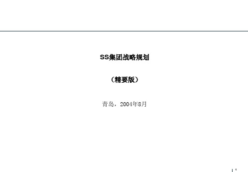 ss集团战略规划