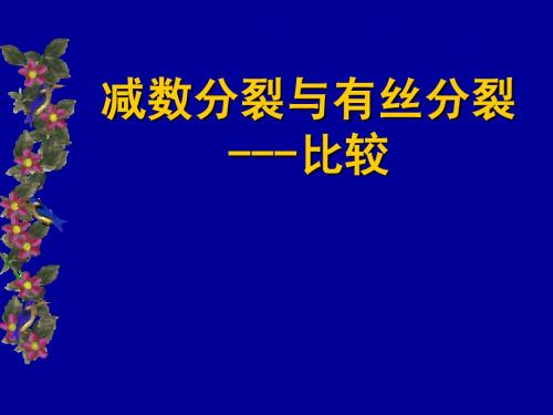 有丝分裂减数分裂的比较(修改稿)