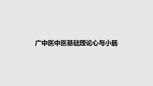 广中医中医基础理论心与小肠PPT教案