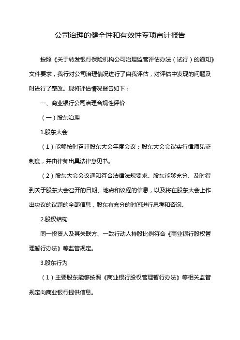 公司治理的健全性和有效性专项审计报告