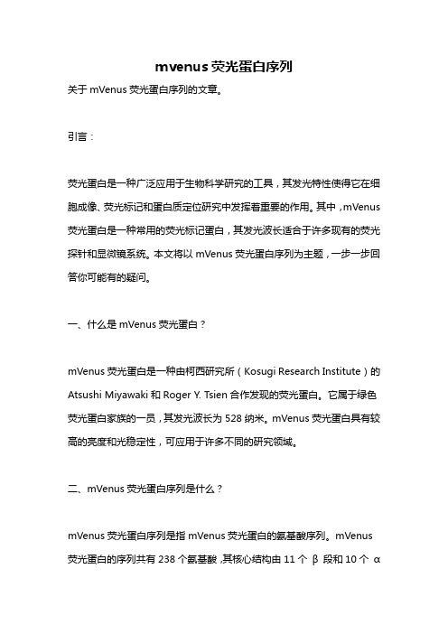 mvenus荧光蛋白序列