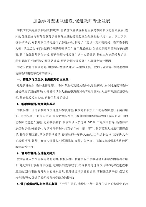 加强学习型团队建设促进教师专业发展