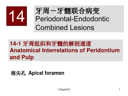 chapter14,牙周牙髓联合病变