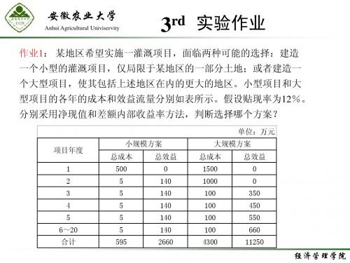 投资项目评估实验作业