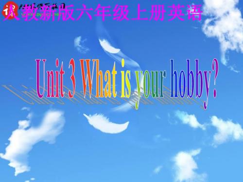 新人教版What's your hobby 课件.ppt