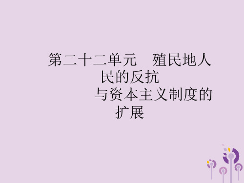 2019年中考历史总复习第五部分世界近代史第二十二单元殖民地人民的反抗与资本主义制度的扩展课件