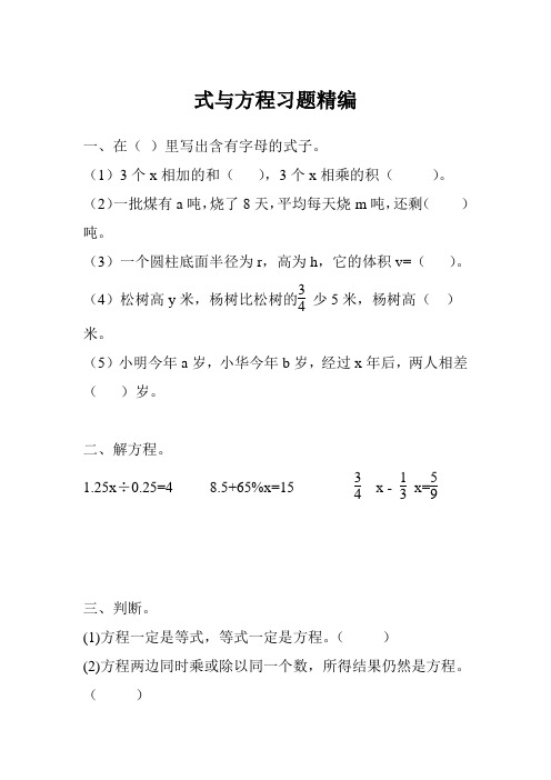 新版苏教版六年级数学下册 式与方程习题精编.doc