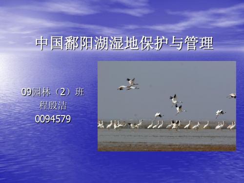 鄱阳湖湿地保护与管理