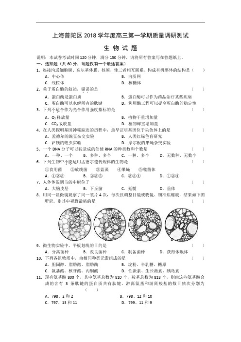 最新-上海市普陀区2018届高三上学期期末质量调研测试(