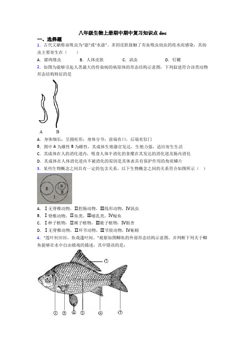 八年级生物上册期中期中复习知识点doc