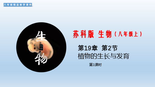 (苏科版)八年级上册生物精品教学课件:19.2 植物的生长发育 第1课时