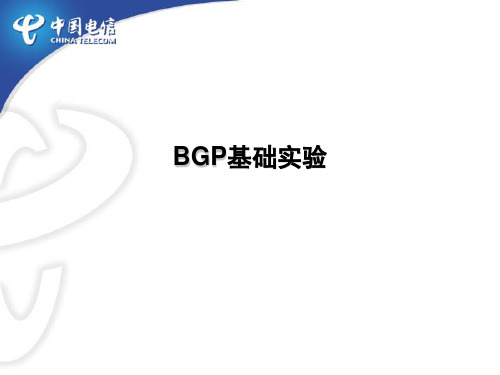 BGP基础实验