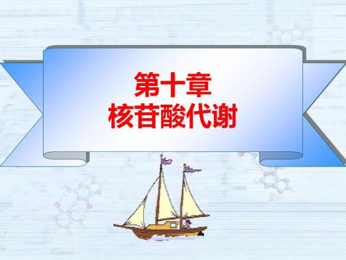 第十章++核苷酸代谢