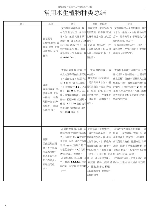 常用水生植物种类总结