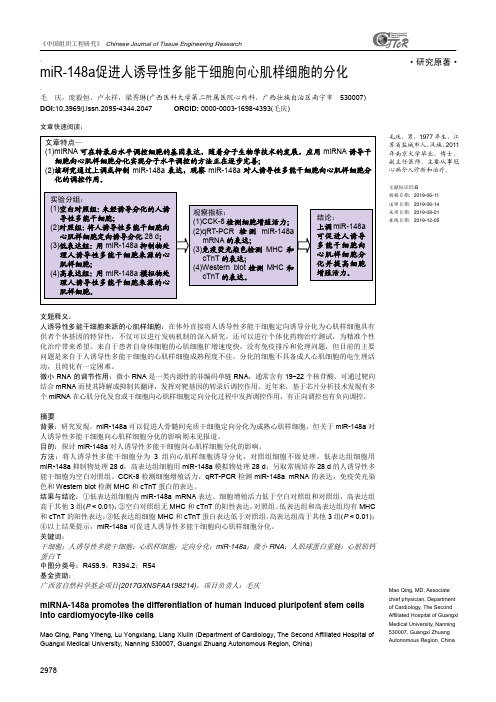 miR-148a促进人诱导性多能干细胞向心肌样细胞的分化