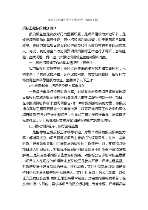 招标工程标段划分工作报告（精选3篇）