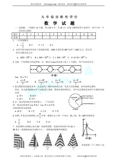 2010年九年级诊断性评价数学试题