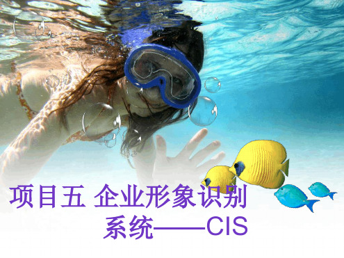 企业形象识别系统 CIS