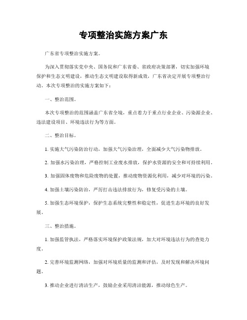 专项整治实施方案广东