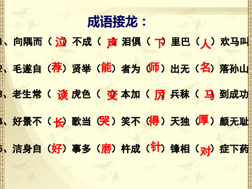 正确使用词语(熟语)ppt