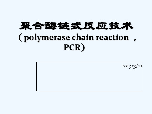 PCR技术原理简介 PPT