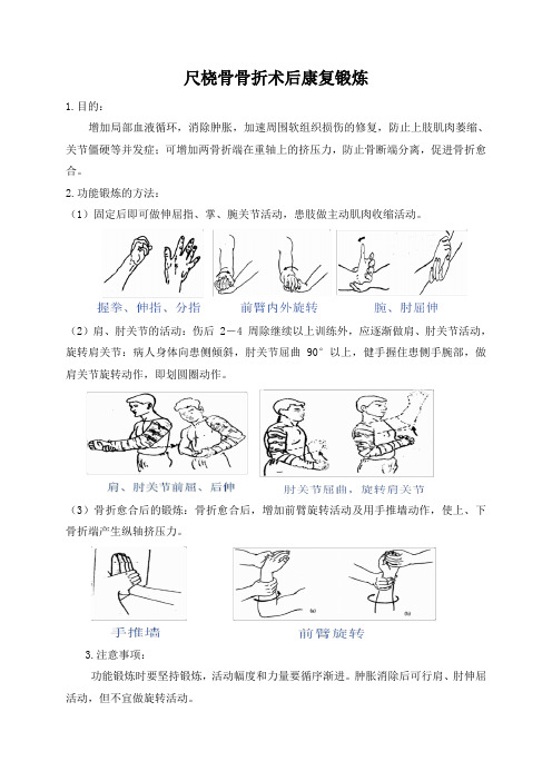 尺桡骨骨折术后功能锻炼指导