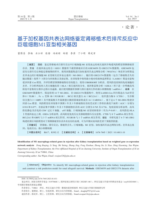 基于加权基因共表达网络鉴定肾移植术后排斥反应中巨噬细胞M1亚型相关基因