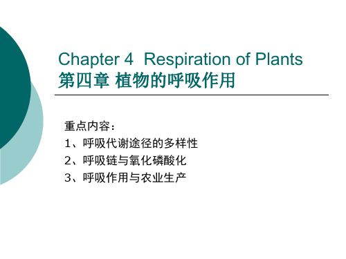 植物生理学课件：第四章 植物的呼吸作用