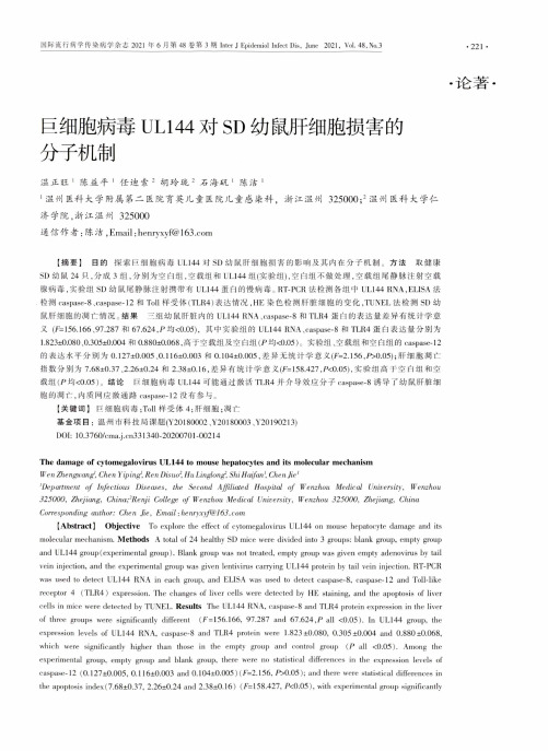 巨细胞病毒UL144对SD幼鼠肝细胞损害的分子机制