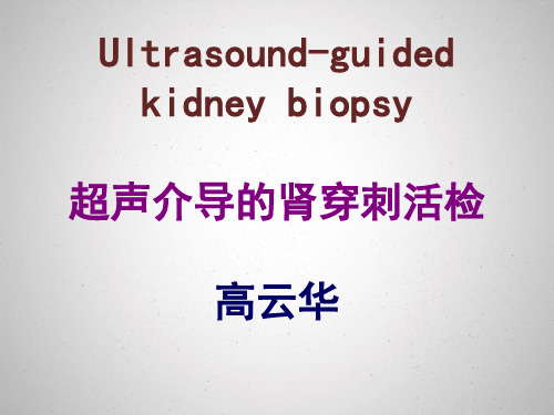 肾脏穿刺(修)
