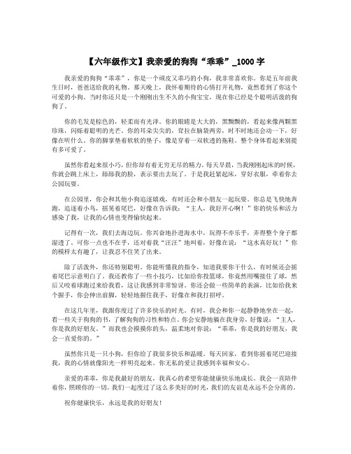 【六年级作文】我亲爱的狗狗“乖乖”_1000字