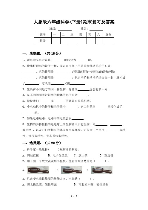 大象版六年级科学(下册)期末复习及答案