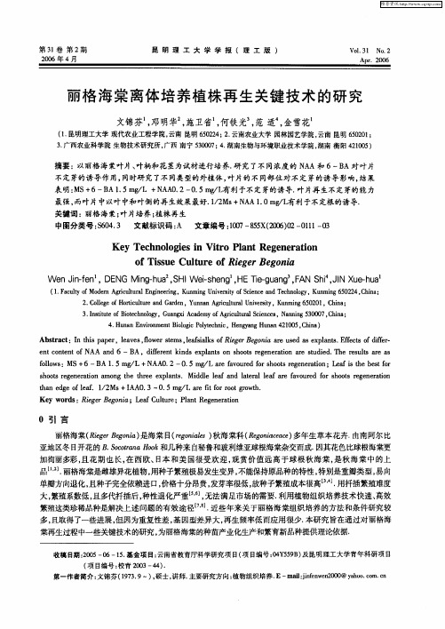 丽格海棠离体培养植株再生关键技术的研究